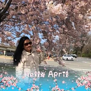 Meet your Posher, Linh